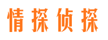 沛县市侦探